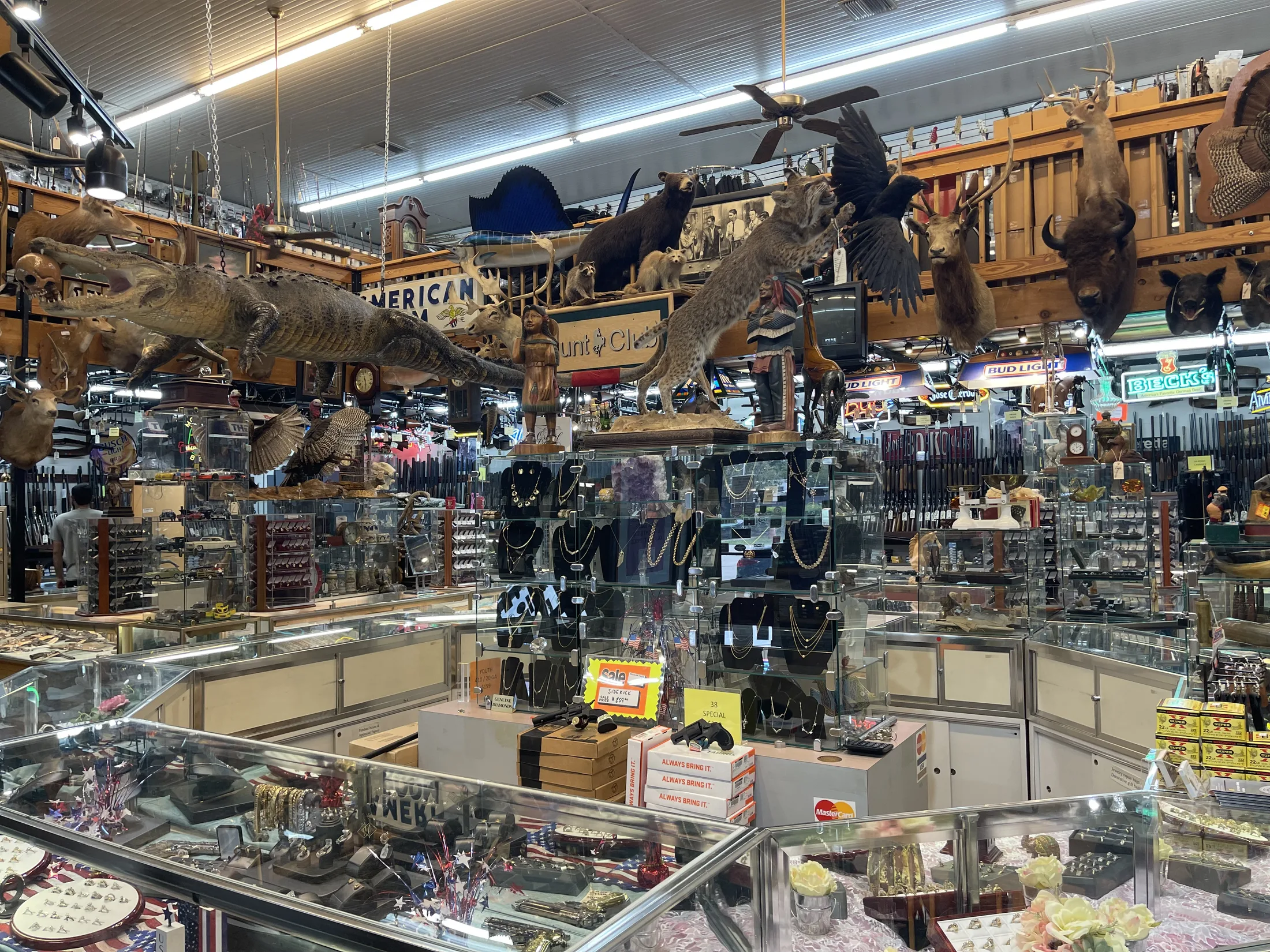 Jewelry showcases and merchandise displays inside AAA Gun & Pawn beneath wildlife mounts