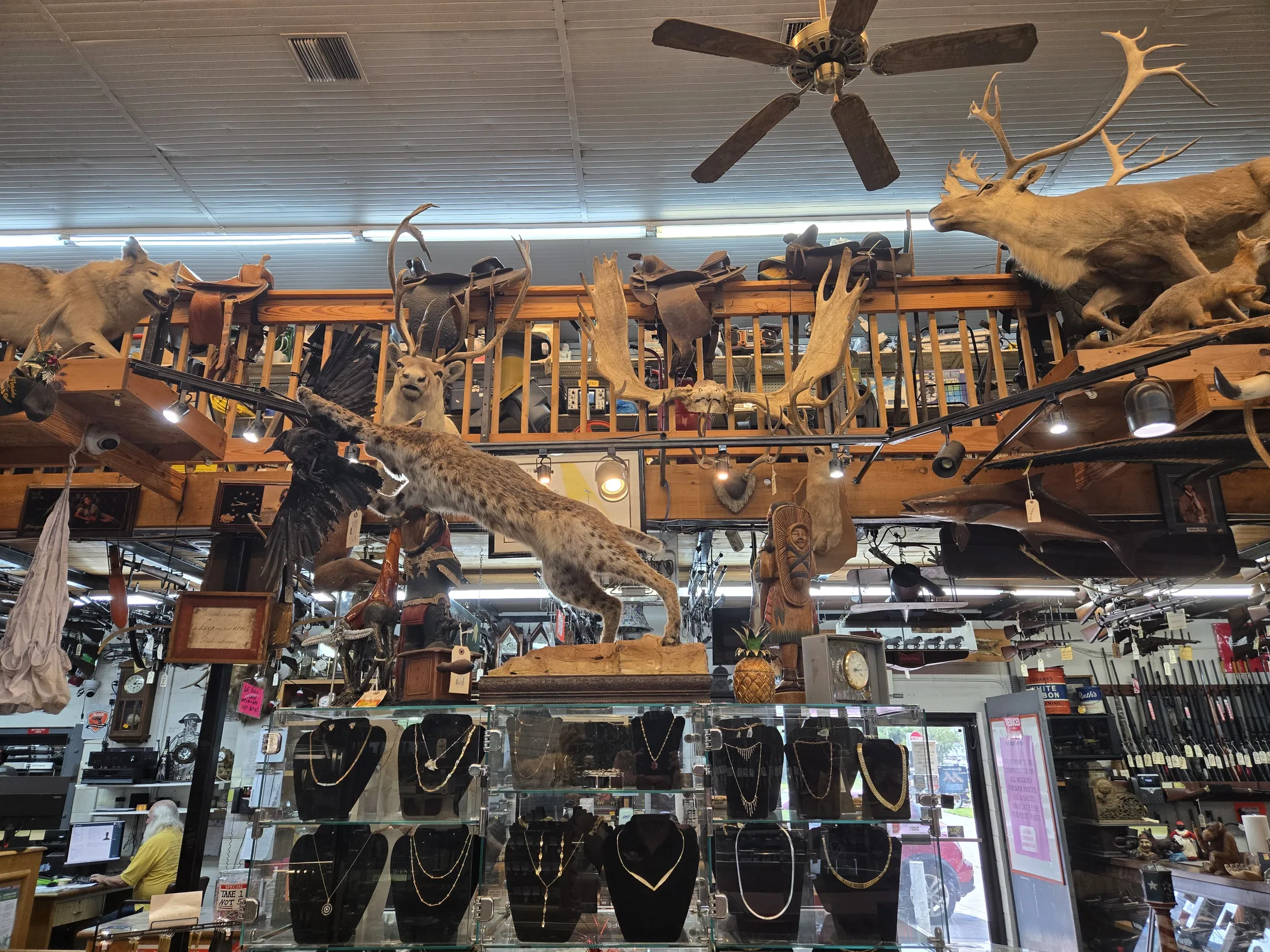 Necklaces displayed on busts in the jewelry showcase at AAA Gun & Pawn