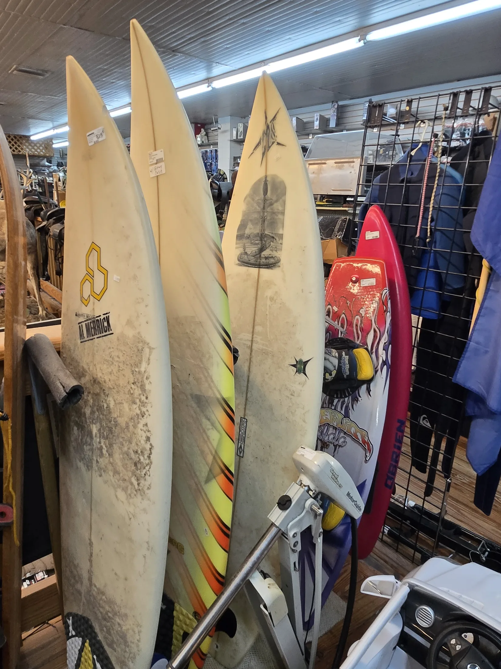 Surfboards standing in the sporting goods area at AAA Gun & Pawn